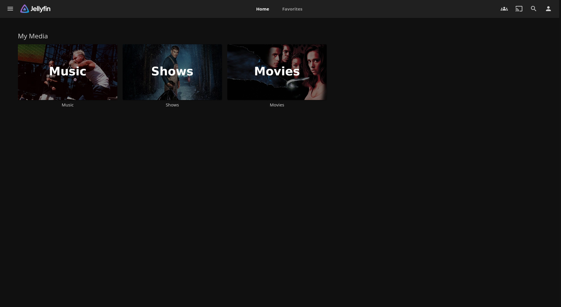 jellyfin-media-loaded-in