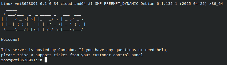 contabo-first-login
