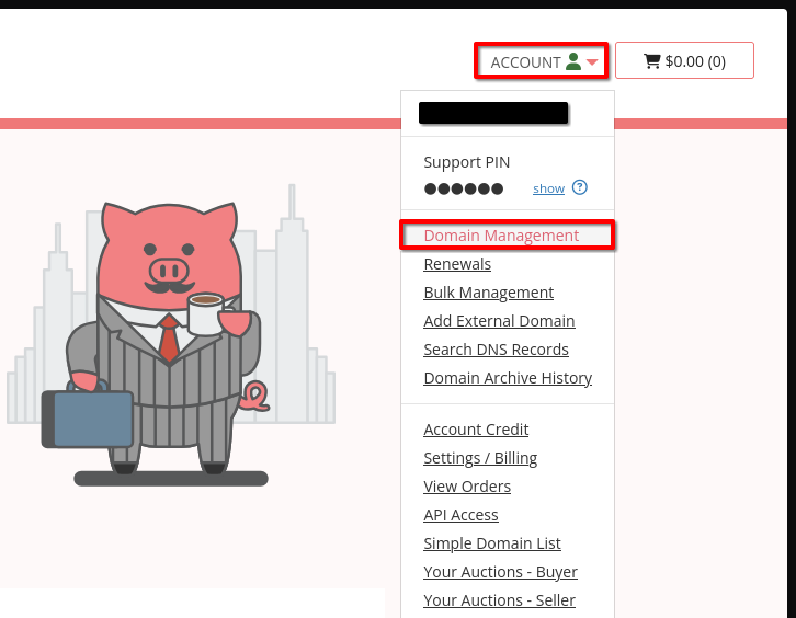 porkbun-domain-management